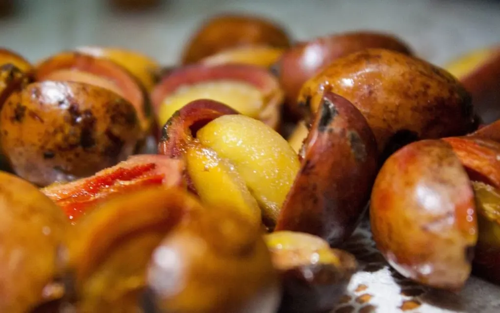 cara memisahkan kulit buah kopi